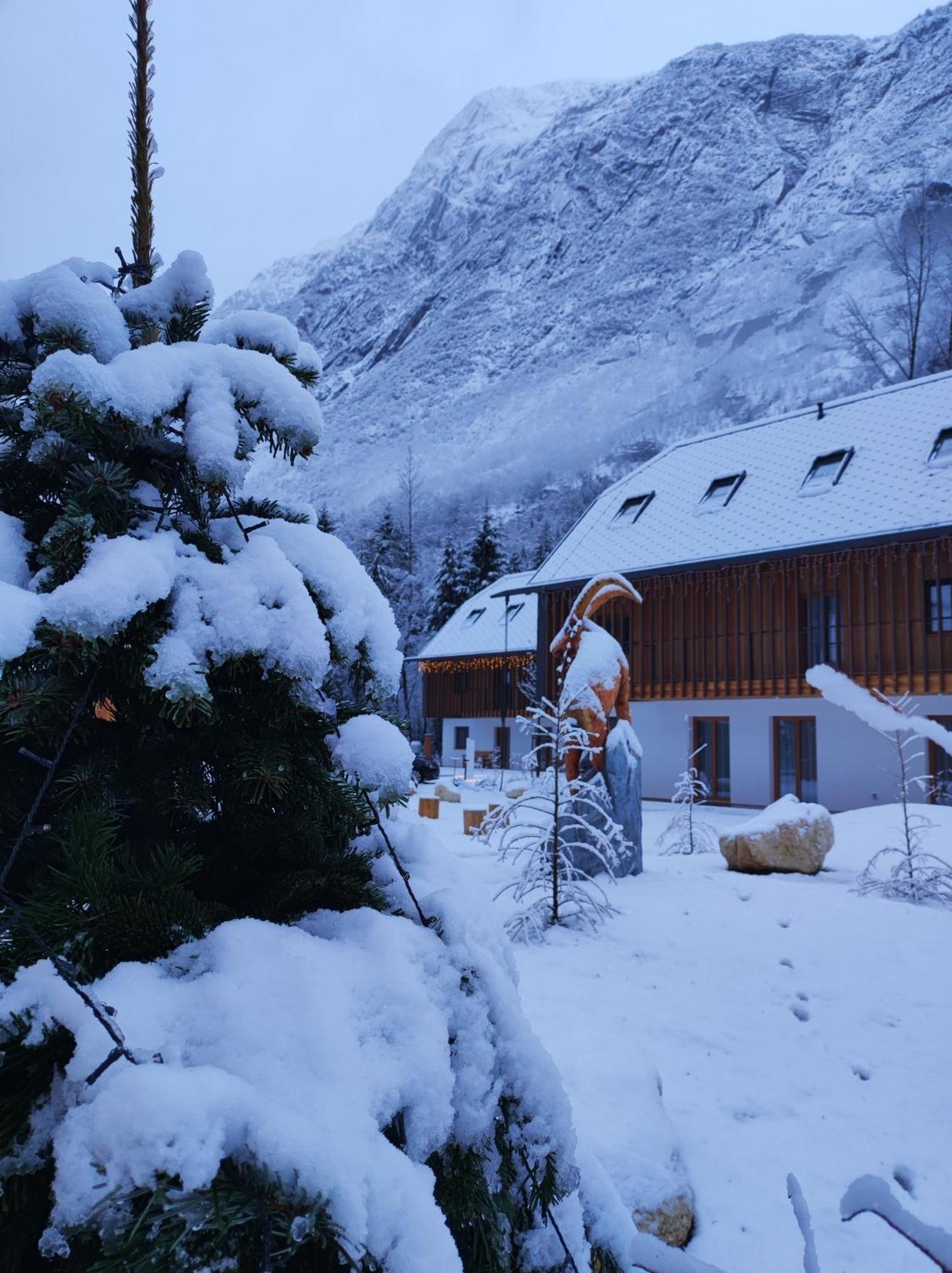 Residence Soča Eksteriør billede