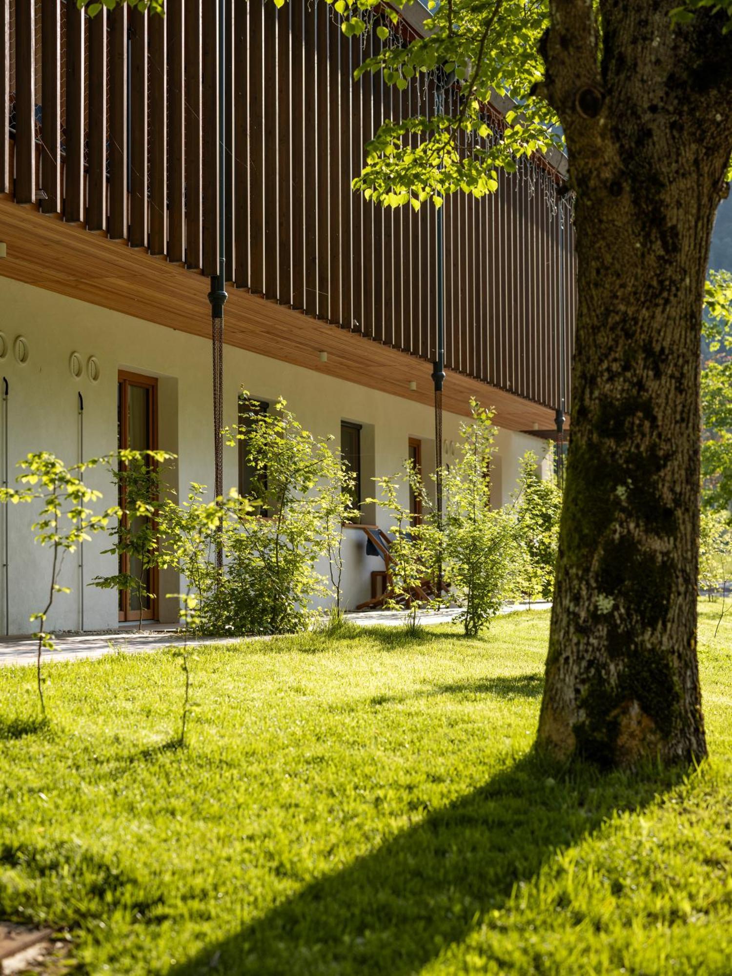 Residence Soča Eksteriør billede
